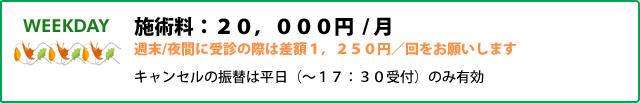 施術料：２０，０００円／月