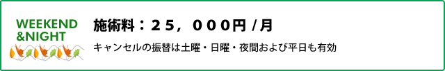施術料：２５，０００円／月